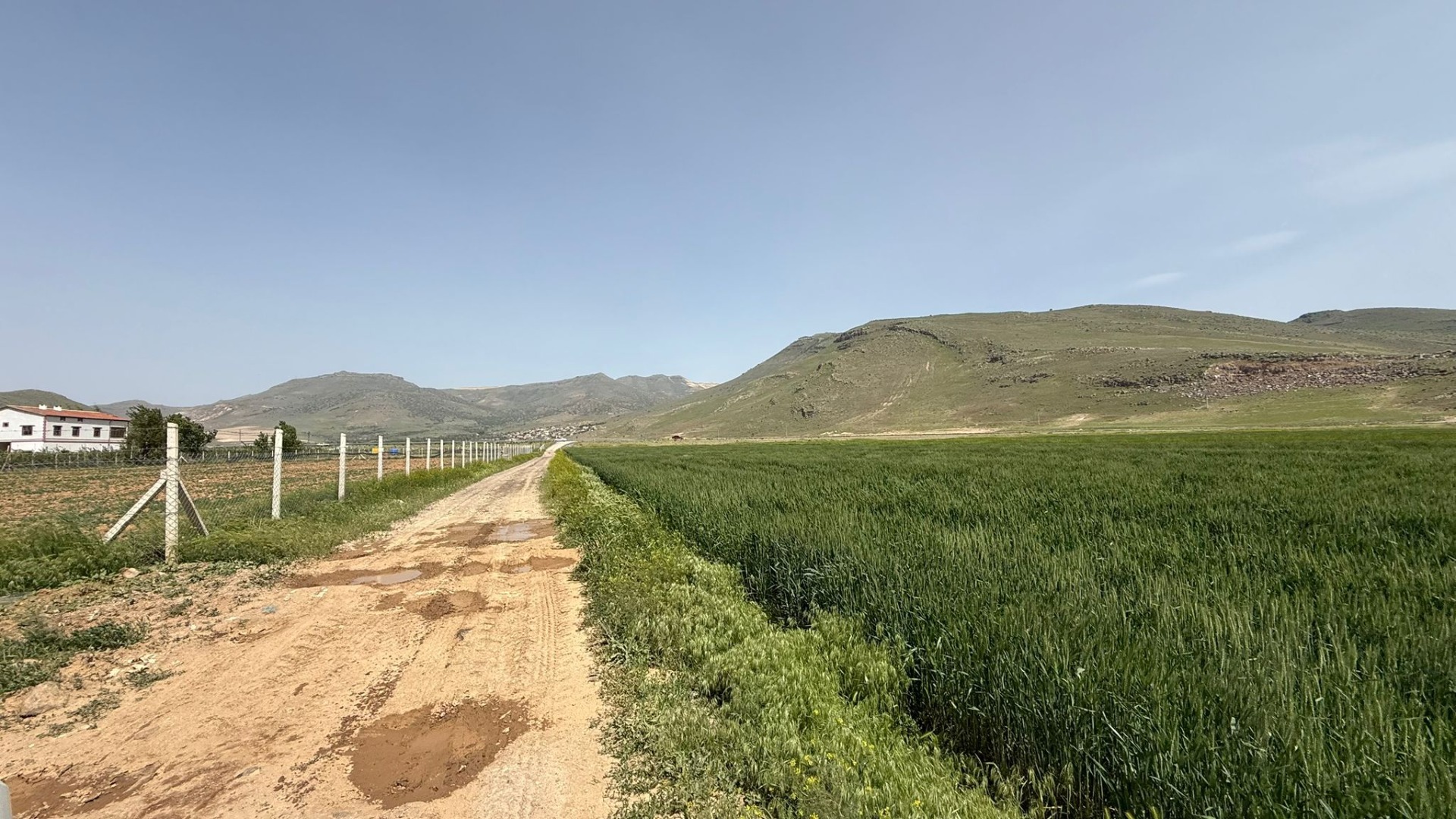 KAYSERİ DEVELİ ZİLE MAHALLESİ SARAYBUCAĞI MEVKİİNDE SATILIK TARLA